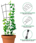4 Pack 23 Inch Fan Shape Plant Trellis For Potted Climbing Plants Indoor Outdoor Metal Garden Trellis For Vines Ivy Flowers And Houseplants No Assembly Required Built To Last Black Powder Coated Steel in pot with plant