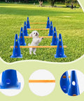 Dog Agility Hurdle Cone Set With Poles For Training And Fitness Durable PVC Outdoor Kit in use with small dog jumping