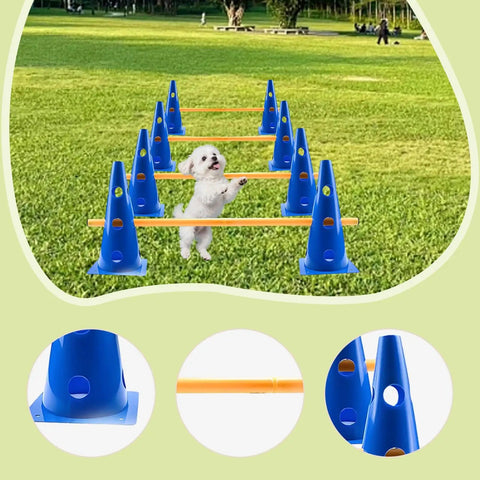 Dog Agility Hurdle Cone Set With Poles For Training And Fitness Durable PVC Outdoor Kit in use with small dog jumping