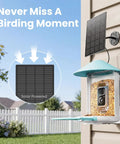 Smart Bird Feeder With 2K AI Camera And Solar Power mounted on a wall, showing solar panel and camera, for backyard bird watching.