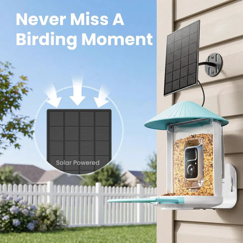 Smart Bird Feeder With 2K AI Camera And Solar Power mounted on a wall, showing solar panel and camera, for backyard bird watching.