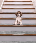 Puppy on wooden stairs with Non Slip Stair Treads For Wooden Steps Indoor Carpet With Rubber Backing 15 Pack 8X30 Inches