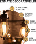 Vintage Edison Style 60W Incandescent Light Bulbs 4 Pack With E26 E27 Base 2100K Dimmable Warm ST64 in decorative fixture