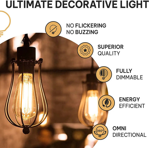 Vintage Edison Style 60W Incandescent Light Bulbs 4 Pack With E26 E27 Base 2100K Dimmable Warm ST64 in decorative fixture