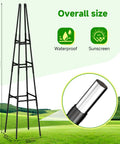 Obelisk Trellis For Climbing Plants Outdoor Garden Support 63 Inch Adjustable No Fuss Assembly Steel Plastic Coated Plant Stake