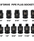 11-Piece Three Eighths Inch Drive SAE Pipe Plug Socket Set With Tapered Male Square Drive And Chamfered Female Square Drive In Chrome Molybdenum Steel With Black Phosphate Finish Heavy Duty Pro Grade Auto Shop Gear For Everyday Maintenance arranged in two rows with size labels