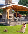 Installed Tall Dog Fence With Gate, 40 Inch High Garden Boundary Fences surrounding yard, metal temporary enclosure for pets