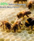 Bees on honeycomb foundation sheets; 20 Pack Waxed Coated Beehive Foundation Sheets For Beekeeping Five And Five Eighths Inch
