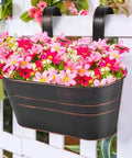 4 Pack Black Metal Hanging Flower Pots To Level Up Railing Decor Iron Planters With Drain Holes Rust Resistant Bucket Holders For Fence Balcony Yard Rock Solid Detachable Hooks filled with pink flowers on railing.
