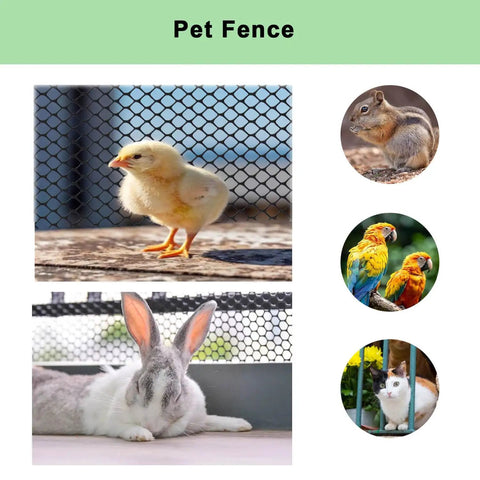 Black Plastic Wire Mesh Roll 15.7In By 10Ft Chicken Wire Fence For Poultry with chick, rabbit, birds, cat, and squirrel