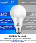 Comparison of Energetic LED Daylight 5000K 13.5W 1600 Lumens bulb vs 100W incandescent showing energy and lifespan benefits.