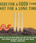 Jumbo Agave Straws Bulk Pack 1500 Count For Smoothies, Eco Friendly Compostable Drinking Straws Made From Upcycled Agave, Durable No Soggy Finish, Sustainable Everyday Use For Home And Parties, three agave straws in soil