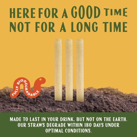 Jumbo Agave Straws Bulk Pack 1500 Count For Smoothies, Eco Friendly Compostable Drinking Straws Made From Upcycled Agave, Durable No Soggy Finish, Sustainable Everyday Use For Home And Parties, three agave straws in soil