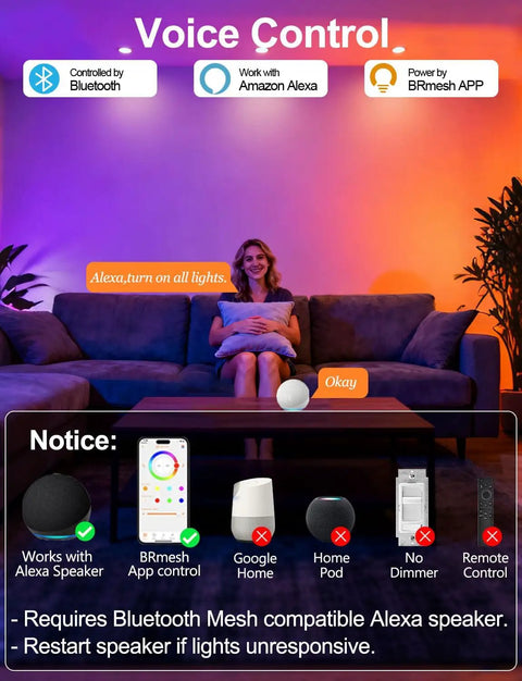 Person using Alexa with 4 Inch RGB LED Recessed Lights Canless With Alexa Voice Control And BRmesh App, sofa in background