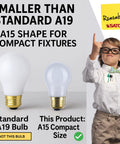 Comparison of A19 and A15 bulbs, highlighting A15's compact size, ideal for Shatterproof 40W A15 Light Bulbs Frosted 2700K Warm White 130V E26 Base