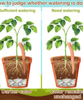 12 Pack Ceramic Water Sensor Worms For Plants Moisture Monitor Garden Tool cute soil moisture guide showing dark and light color change