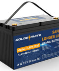 Beast 12V 100Ah LiFePO4 Battery With Built In 100A BMS Up To 15000 Deep Cycles Group 31, front view with labels
