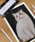White Charcoal Pencils Set, 6 Pcs For Bold Highlights On Dark Paper, Smooth And Blendable For Sketching, Shading, Details, And Lettering