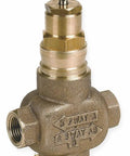 2 Inch Two Way FNPT Globe Valve Built Tough With Stainless Steel Trim And Spring Loaded Packing Crafted For Relentless Water Flow And Heavy Duty Steam System Control