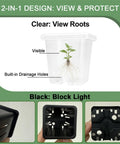 Two Inch Square Seedling Pots Pack Of 50 Dual Color Clear And Black With Drainage Holes showing root view and blocking light