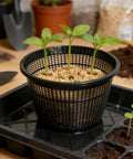 Heavy Duty Reusable Net Pots For Hydroponics And Aquaponics Gardens with seedlings indoors on tray