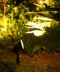 Low Voltage Landscape Spotlight Kit With 20W Halogen Bulbs 12V AC Outdoor Black Lights illuminating garden foliage
