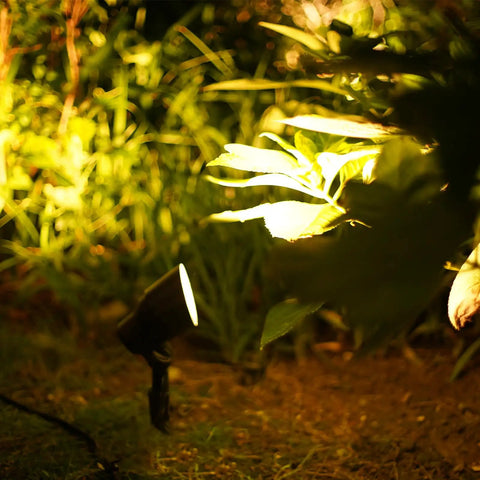 Low Voltage Landscape Spotlight Kit With 20W Halogen Bulbs 12V AC Outdoor Black Lights illuminating garden foliage