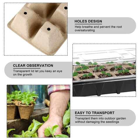 All In One Seed Starter Kit With Four Germination Trays And 120 Paper Seedling Cups For Indoor And Outdoor Gardens Includes Plant Labels And Mini Garden Tools Spade Rake And Trowel For Easy Seed Starting