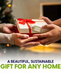 Person gifting a wrapped package labeled 'Grow From Inside', suitable for any home, with a blurred Christmas tree in the background.
