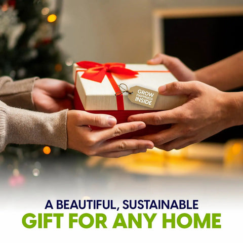 Person gifting a wrapped package labeled 'Grow From Inside', suitable for any home, with a blurred Christmas tree in the background.
