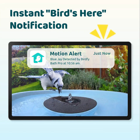 Image of a solar powered bird bath camera with dual lens for wild bird watching real time views and auto video capture.