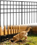 No Dig Garden Fence Panels For Outdoor Yard, 30 Rustproof Metal Barriers, 42.5 Feet Long By 13 Inches High, installed to block pets