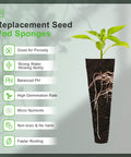 No Fuss Hydroponic Grow Sponges for Aerogarden Replacement Pods with growing seedling and visible roots.