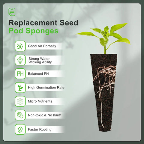 No Fuss Hydroponic Grow Sponges for Aerogarden Replacement Pods with growing seedling and visible roots.
