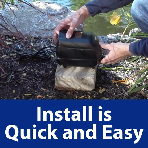 Person installing a diaphragm air pump near a pond for Complete Pond Aeration Kit For Backyard Ponds Up To 3000 Gallons And Four Feet Deep Includes Diaphragm Air Pump Air Line And Submersible Diffuser Stick To Boost Oxygen Circulation Improve Water Quality And Fish Health.