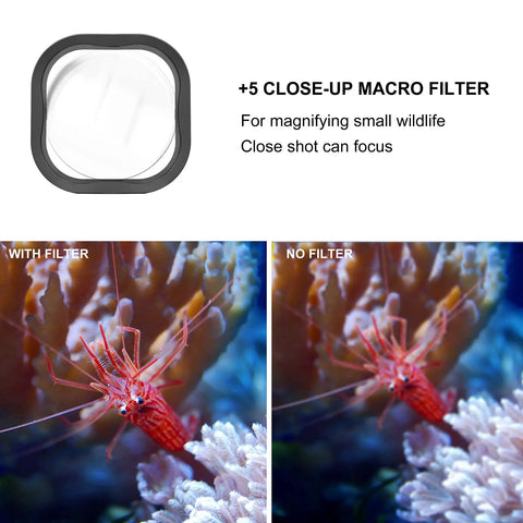 Waterproof Housing For Hero 8 Black With 4 Pack Dive Filters Red Light Red Magenta And Close Up Filters 60m Underwater Depth Rating Rugged Case comparing with and without macro filter on coral