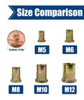 Rivet Nuts Kit With 120 Pieces M6x1.0 Carbon Steel Zinc Plated Flat Head Knurled Nutserts size comparison with coin and labels M5 to M12