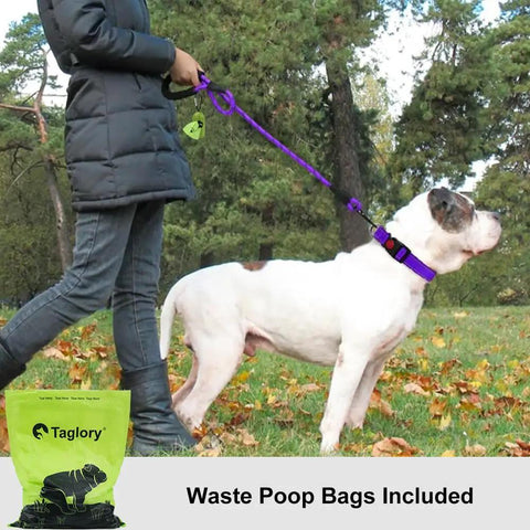 Person walking a dog in park with Built Tough Rope Dog Leash 6 Ft With Padded Handle Reflective Threads Anti Tangle Clip.