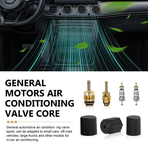 7 Piece Air Conditioning Valve Core Kit For Cars, Trucks, And SUVs Includes Low Pressure Port Cap And Valve Stem Cores shown