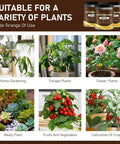 Plant And Lawn Growth Booster With Liquid Bone Meal Fertilizer To Revitalize Soil And Boost Root Health For Indoor And Outdoor Plants And Lawns 120G Easy To Use Pro Grade Soil Revitalizer for various plants including home gardening, foliage, flowers, succulents, fruits, and vegetables.