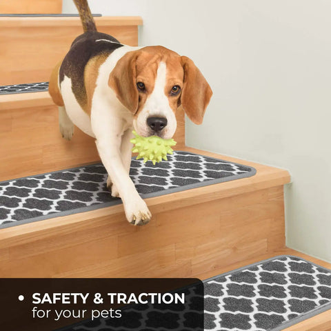 Beagle descending wooden stairs with Skid Resistant Carpet Stair Treads Set Of 15 With Moroccan Trellis Pattern In Misty Gray.