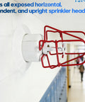 Commercial Grade Fire Sprinkler Head Protection Cages Three Quarter Inch Double Hook Steel Guard on wall protecting sprinkler head.