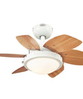 Quince 24-Inch Indoor Ceiling Fan With Dimmable LED Light Fixture, Six Reversible Beech Blades, White Finish, Opal Frosted Glass