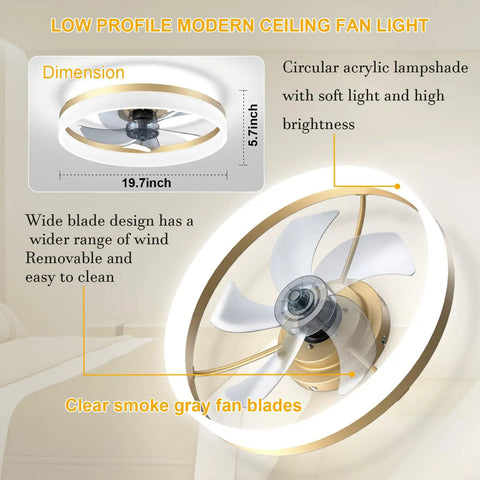 Low Profile Ceiling Fan With Light Flush Mount 6 Speed Reversible Silent Operation Remote And App Control Gold Finish 19.7 Inch Dope Dimmable LED Lighting From 3000K To 6500K For Living Room Bedroom And Kitchen shown with clear smoke gray fan blades and circular acrylic lampshade.