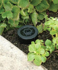 Realistic Sprinkler Key Hider Hidden Safe for Keys, Cash, and Small Essentials installed in garden resembling real sprinkler head