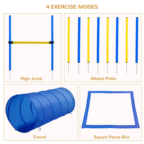 4 Piece Dope Dog Agility Training Course Kit with high jump, weave poles, tunnel, pause box. Blue and yellow setup.