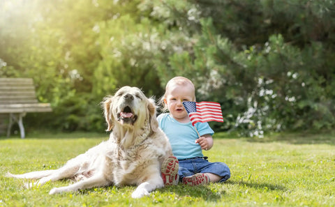 Toddler with 12 Pack 8x12 Inch Handheld American Flags On Wooden Sticks With Kid Safe Spear Top, sitting with dog on grass.