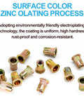 100-piece zinc-plated carbon steel rivet nuts (nutserts) with 1/4-20 UNC threads