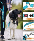Heavy Duty Dog Seat Belt Harness For Car With Adjustable Reflective Bungee Leash And Headrest Restraint, dog walking on leash outdoors.