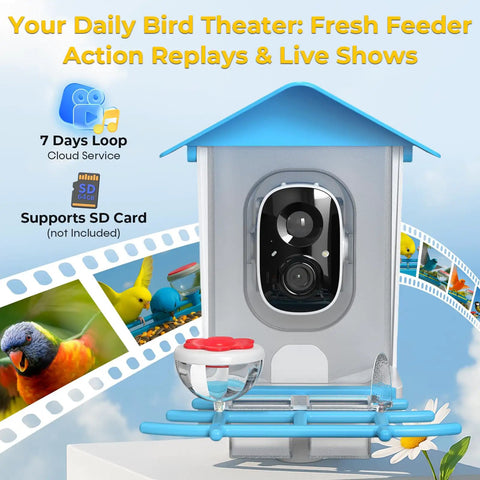 Solar Powered Bird Feeder With Camera For Backyard Watching 2K HD Live Streaming AI Species Recognition Motion Alerts